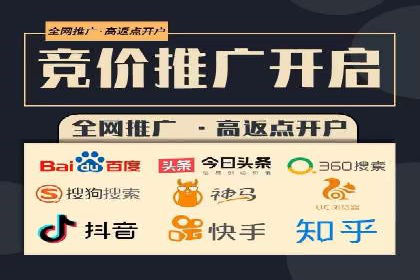SEM托管服务案例：优化策略与效果展示